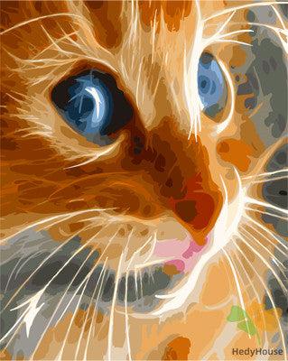 Cat & Dog Paint By Numbers Kits UK GX29354