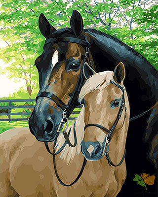 Animal Paint By Numbers Kits UK GX29435