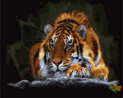 Animal Paint By Numbers Kits UK GX29461