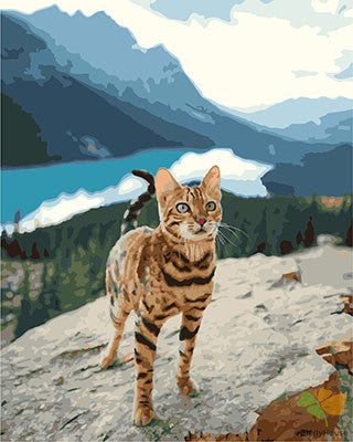 Animal Paint By Numbers Kits UK GX29669