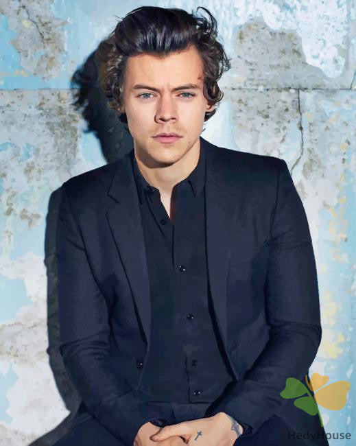 Portrait Paint By Numbers Kits UK HS8531