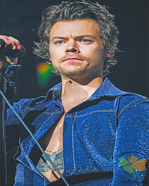 Portrait Paint By Numbers Kits UK HS8535