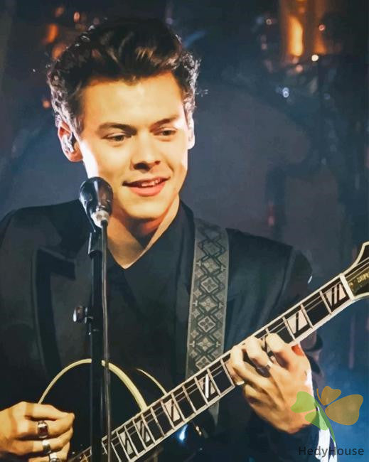 Portrait Paint By Numbers Kits UK HS8537