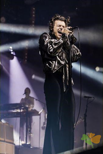 Portrait Paint By Numbers Kits UK HS8539