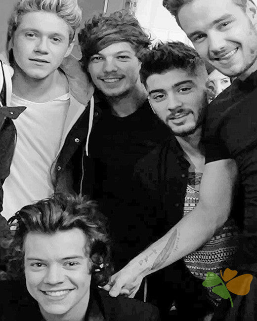 Portrait Paint By Numbers Kits UK OD9770