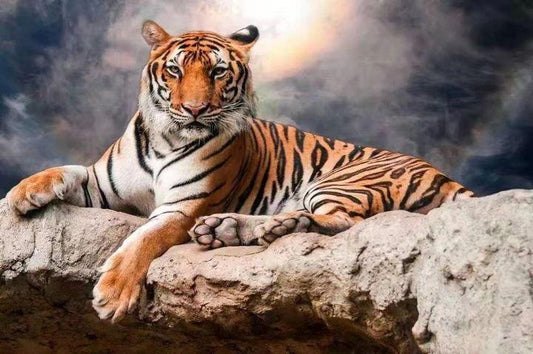 Animal Tiger Paint By Numbers Kits UK For Adult OTG6116