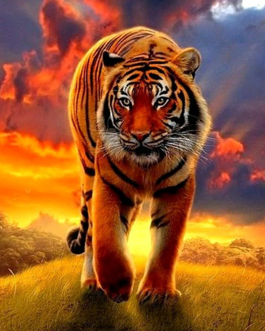 Animal Tiger Paint By Numbers Kits UK For Adult OTG6119