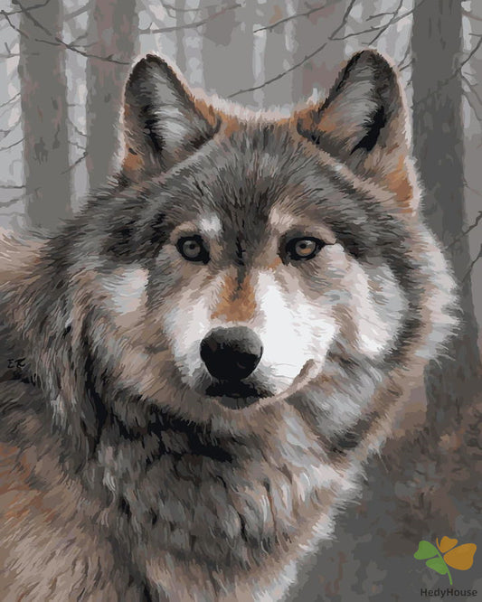 Animal Paint By Numbers Kits UK OTG6207