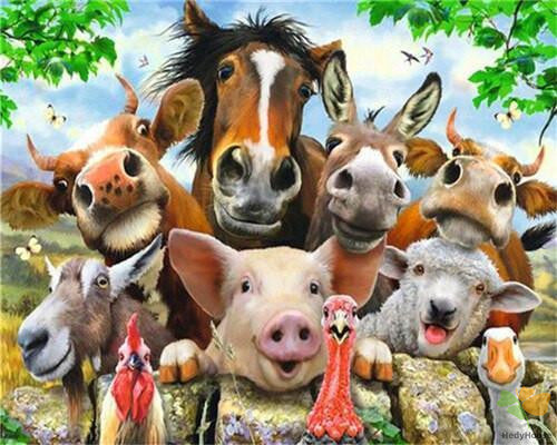 Animal Paint By Numbers Kits UK OTP3449