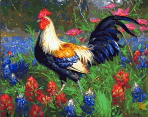 Birds Paint By Numbers Kits UK OTP3505