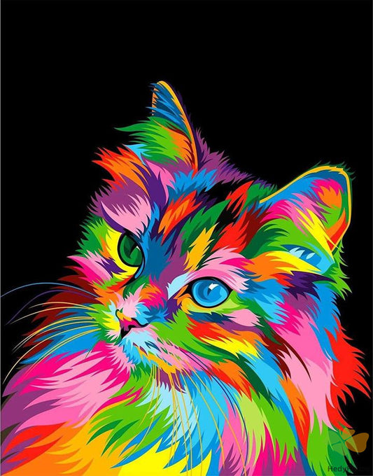 Colorful Paint By Numbers Kits UK OTP3538
