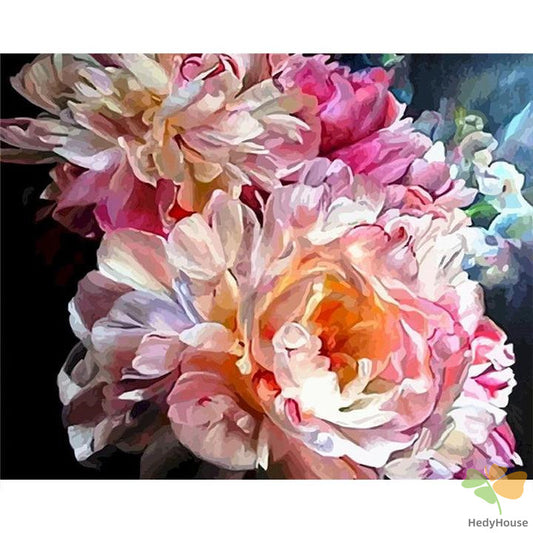 Flower Paint By Numbers Kits UK OTP3545