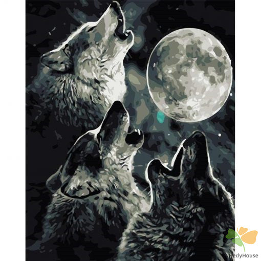 Animal Paint By Numbers Kits UK OTP3569