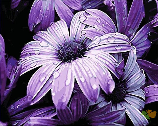 Flower Paint By Numbers Kits UK OTP3571