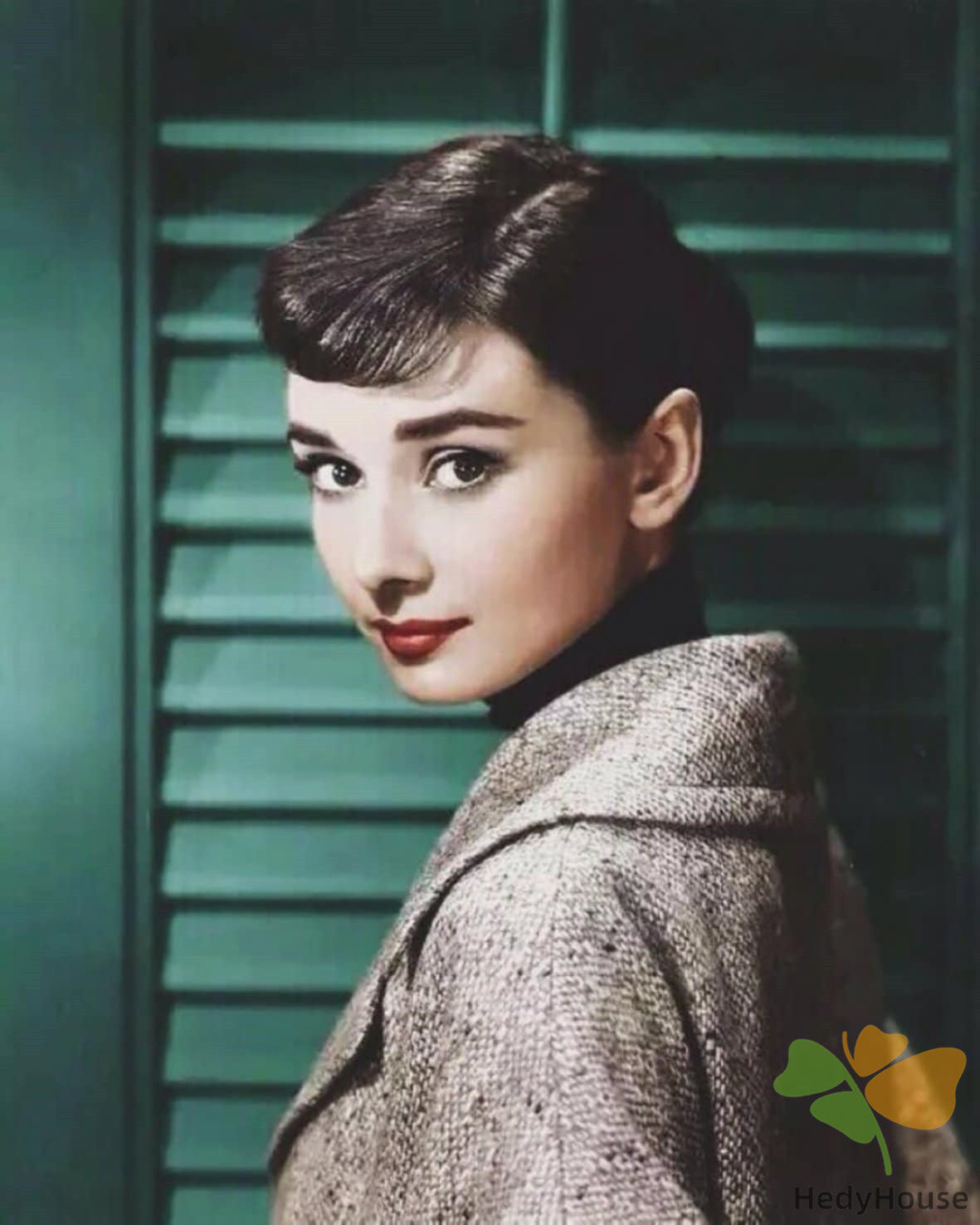 Portrait Paint By Numbers Kits UK PAH8836