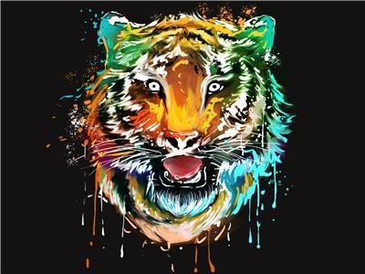 Animal Tiger Paint By Numbers Kits UK For Adult PH9581