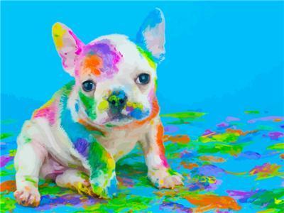 Cat & Dog Paint By Numbers Kits UK For Kids PH9603