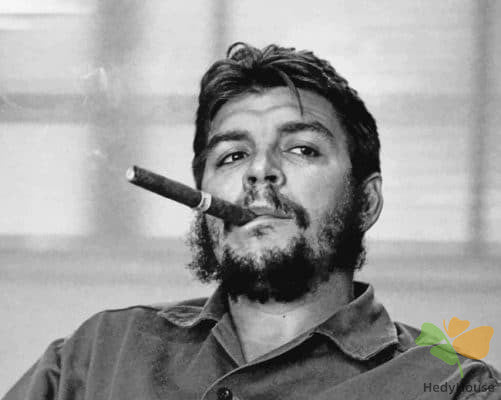 Portrait Paint By Numbers Kits UK QGBW1202