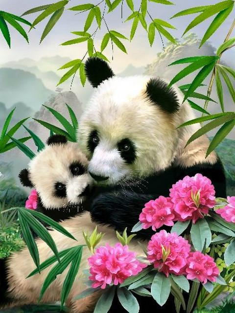 Animal Panda Paint By Numbers Kits UK For Adult RA3123