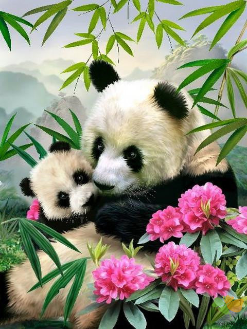 Animal Paint By Numbers Kits UK RA3123