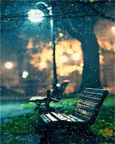 Portrait Paint By Numbers Kits UK RAN5311