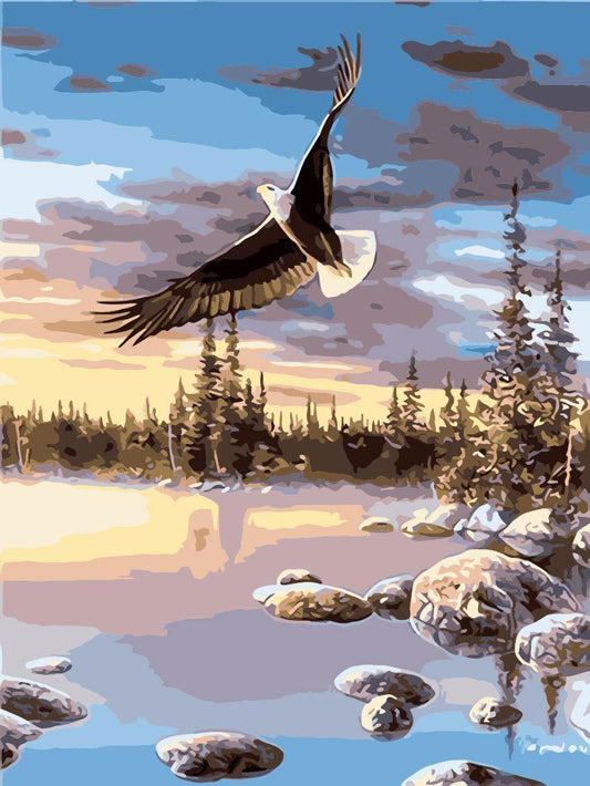 Bird Paint By Numbers Kits UK TCR3067