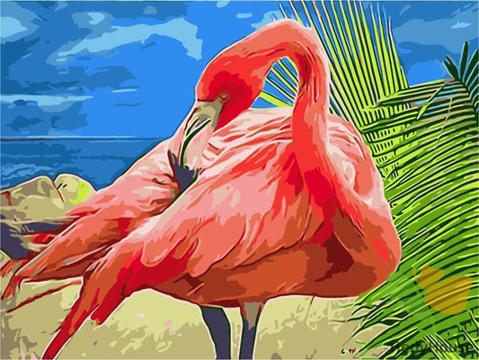 Birds Paint By Numbers Kits UK TCR3072