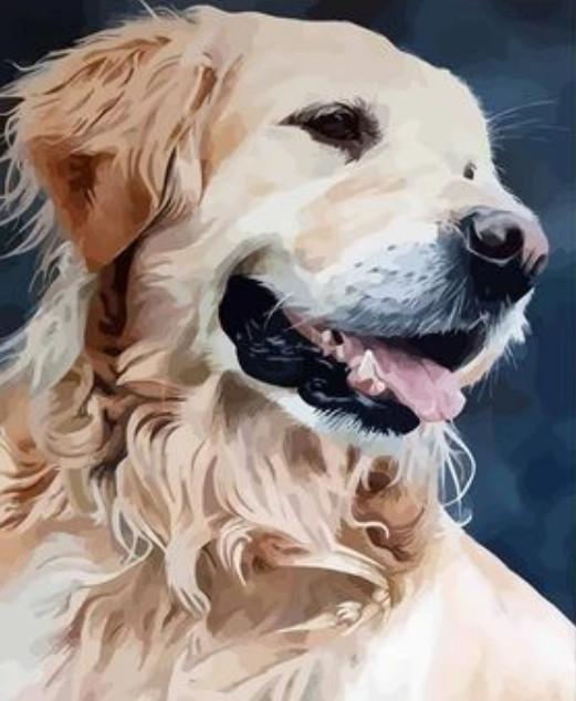 Cat & Dog Paint By Numbers Kits UK VM80034