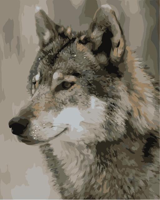Animal Paint By Numbers Kits UK VM90740
