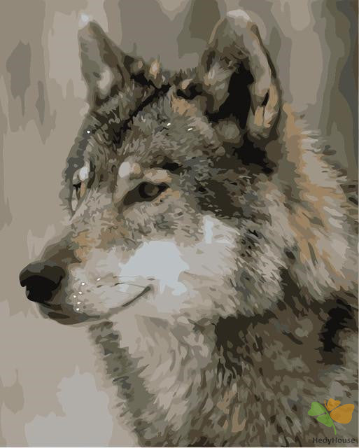 Animal Paint By Numbers Kits UK VM90740