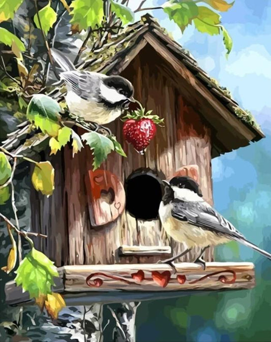 Bird Paint By Numbers Kits VM91635