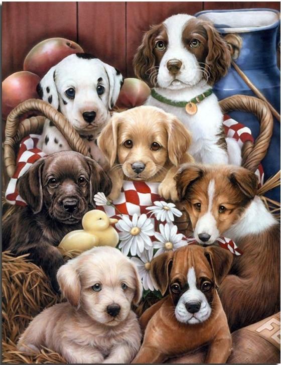 Cat & Dog Paint By Numbers Kits UK VM94020