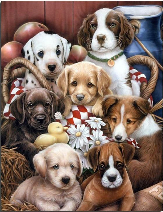 Cat & Dog Paint By Numbers Kits UK VM94020