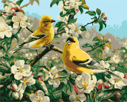 Bird Paint By Numbers Kits UK W-248