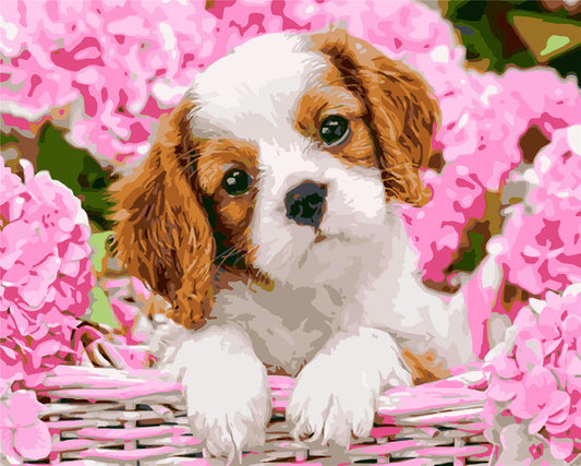 Cat & Dog Paint By Numbers Kits UK WH-11305
