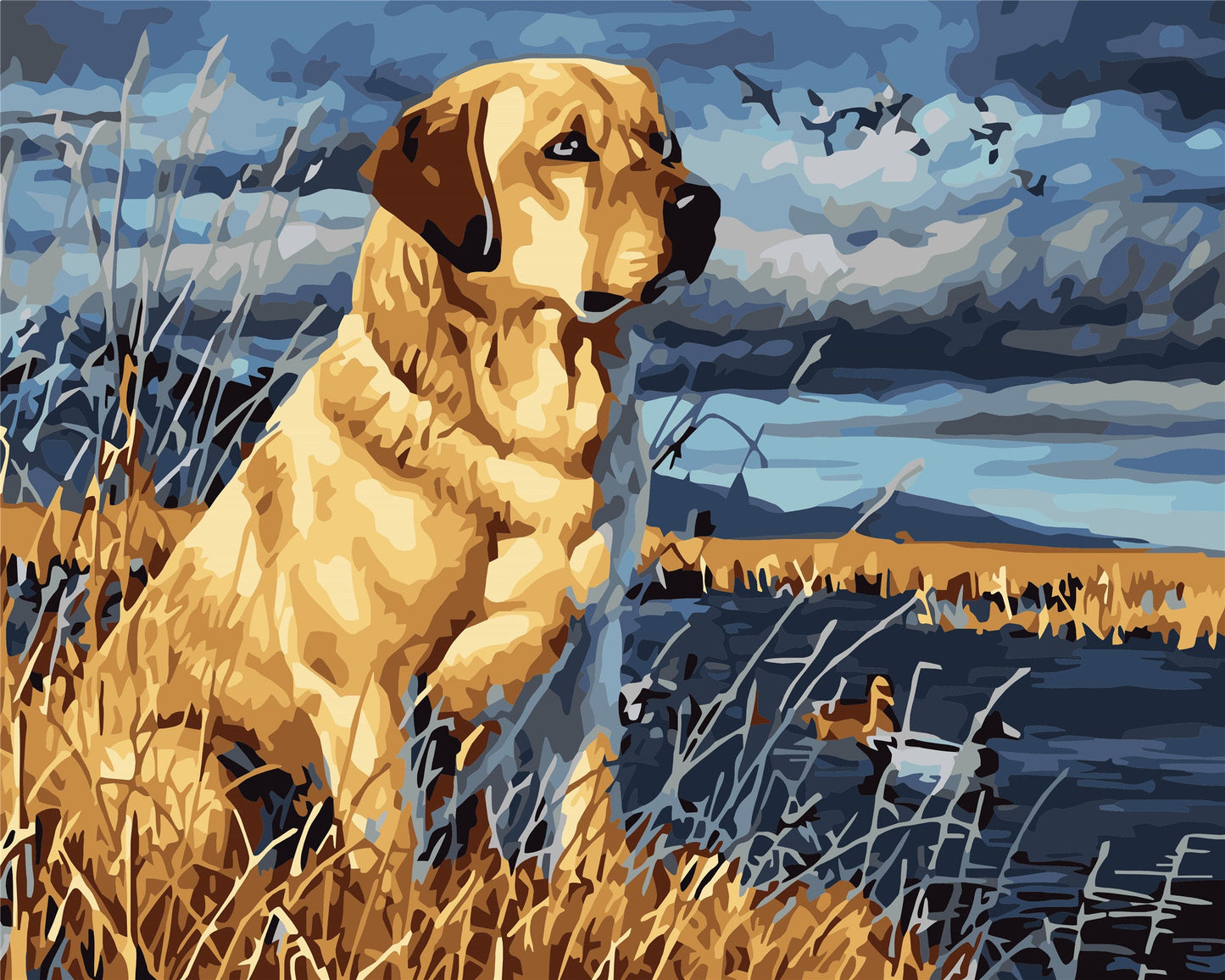 Cat & Dog Paint By Numbers Kits UK WH-1228