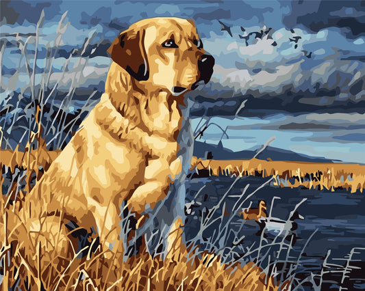 Cat & Dog Paint By Numbers Kits UK WH-1228