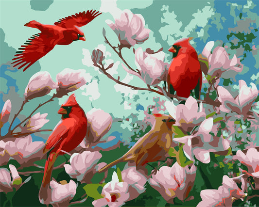 Bird Paint By Numbers Kits UK WH-1276