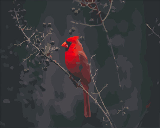Bird Paint By Numbers Kits UK WH-1278