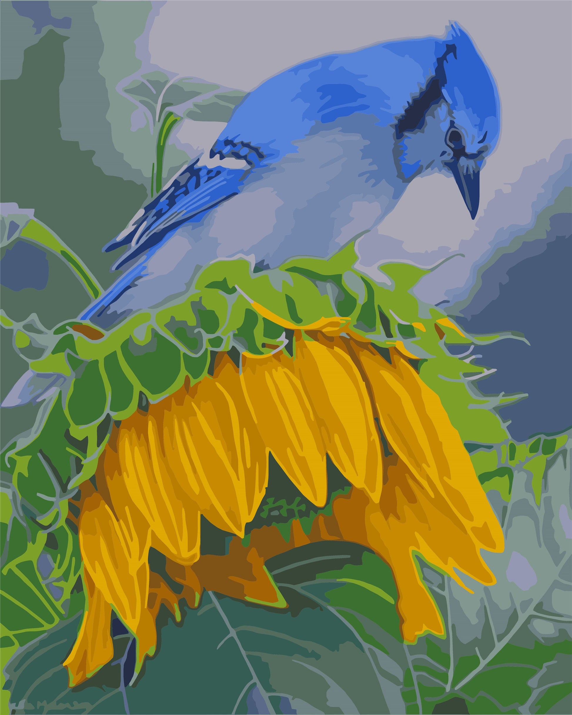 Bird Paint By Numbers Kits UK WH-1279