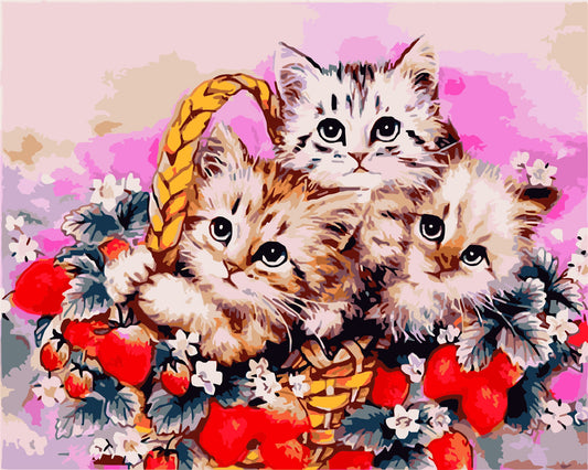 Cat & Dog Paint By Numbers Kits UK WH-1285