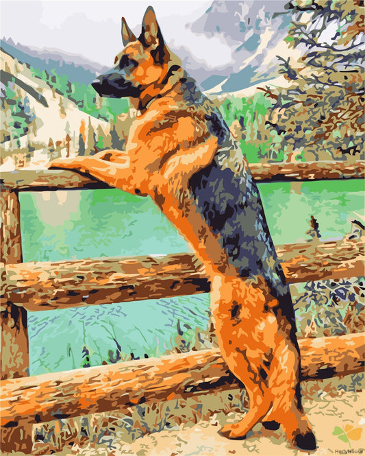 Cat & Dog Paint By Numbers Kits UK WH-1290