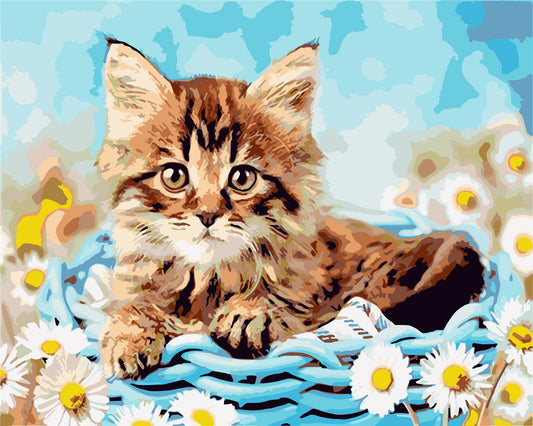 Cat & Dog Paint By Numbers Kits UK WH-1292