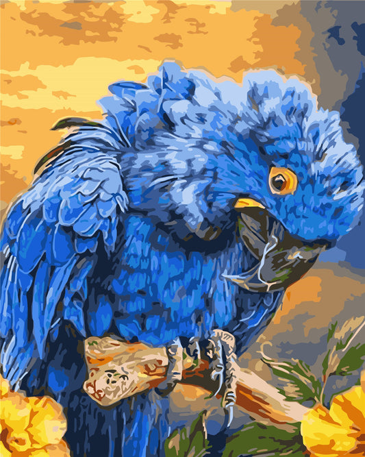 Bird Paint By Numbers Kits UK WH-1341