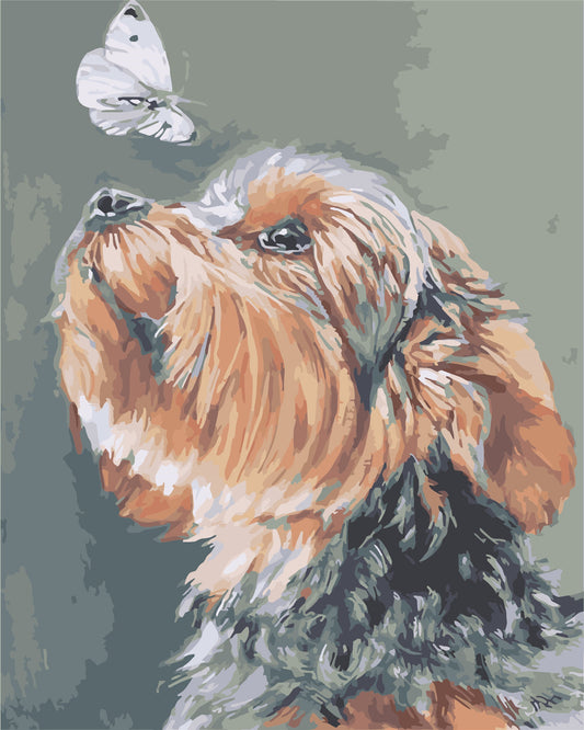 Cat & Dog Paint By Numbers Kits UK WH-1374