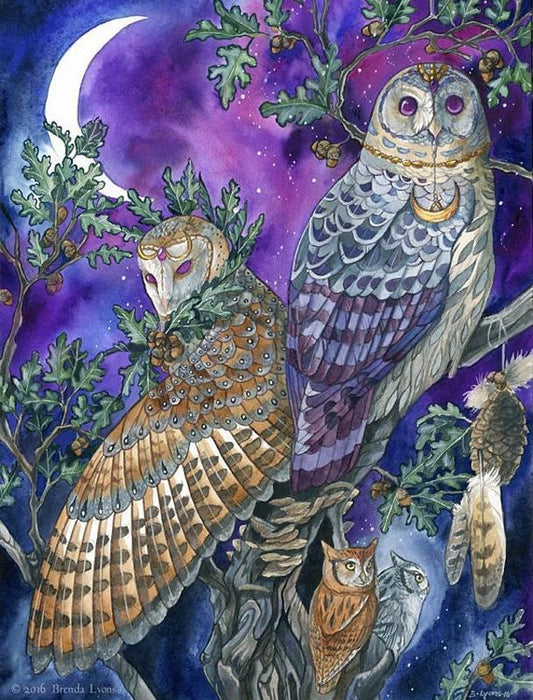 Bird Paint By Numbers Kits UK WH-3021