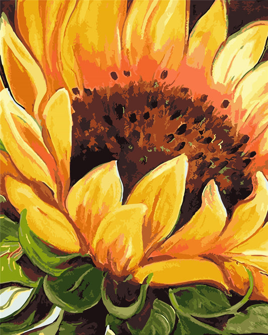 Flower Paint By Numbers Kits UK WH-80631