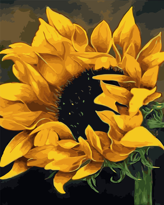 Flower Paint By Numbers Kits UK WH-80676