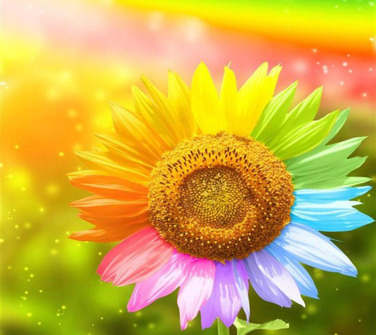 Flower Paint By Numbers Kits UK WH-80715