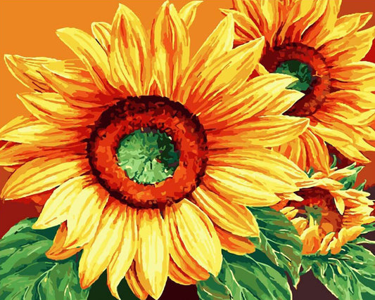 Flower Paint By Numbers Kits UK WH-80716